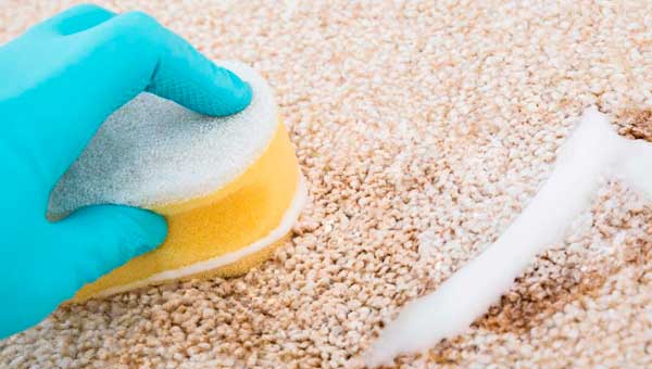 Зачем регулярная чистка ковра