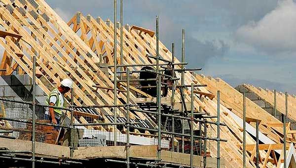 Выбор дерева для кровли